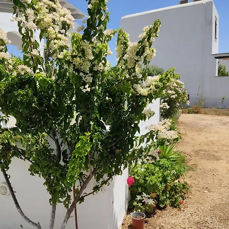 Lena منزل ريفي