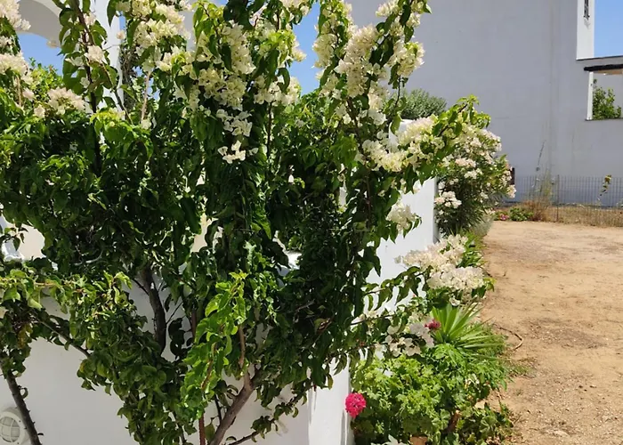 Lena منزل ريفي